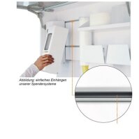 Muster von IS Korpus Rückwandschiene 1000 mm (+/-...